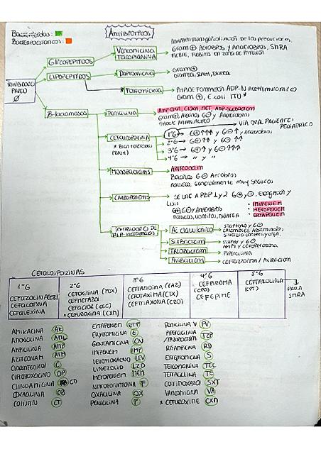 Microbiología Clínica