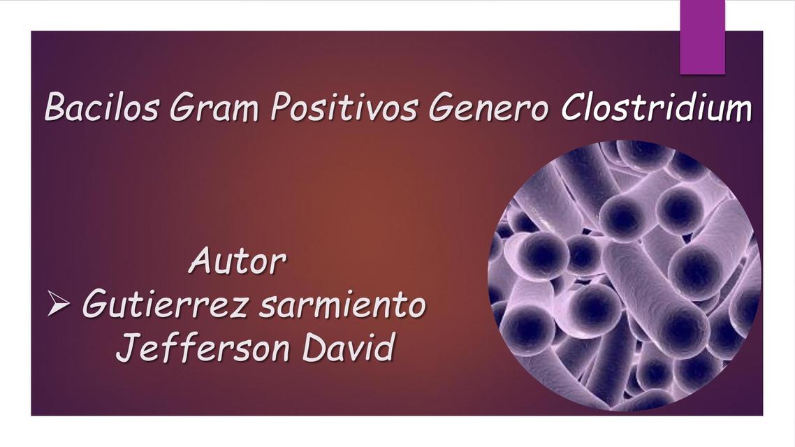 Bacilos Gram Positivos Genero Clostridium | David Jefferson Gutiérrez