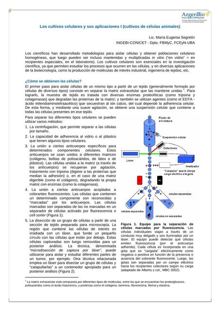Cultivos celulares  y sus aplicaciones I. Cultivos de células animales 
