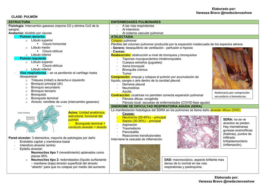 Patología_Pulmón