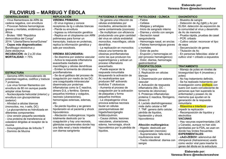 Filovirus - marburg y ébola  