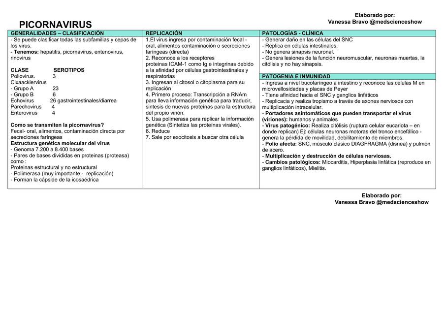 Picornavirus 