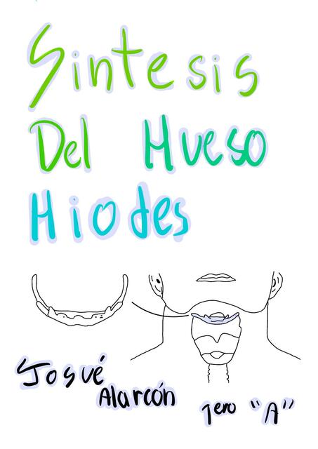 Síntesis del Hueso Hiodes