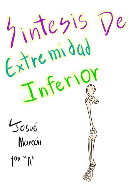 Síntesis de Extremidad Inferior