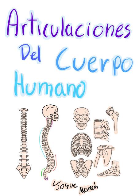 Articulaciones del Cuerpo Humano 