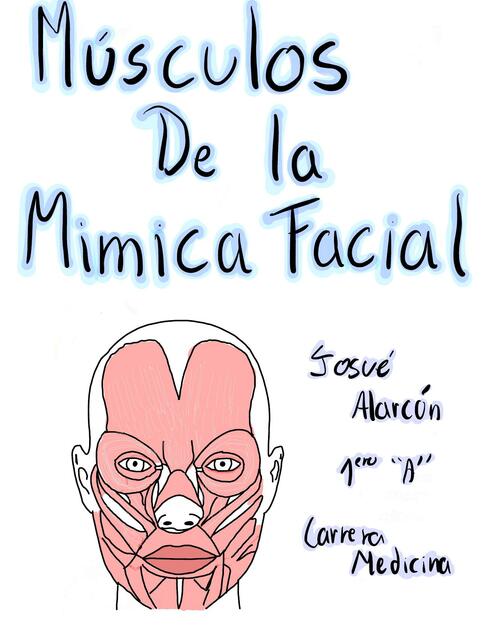 Músculos de la Mímica Facial