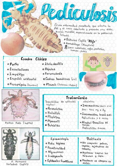 Pediculosis