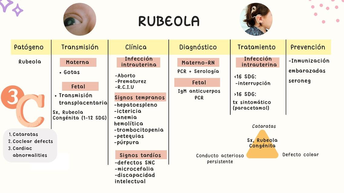 Fruth Rubeola Rubeola | Jasive Flores | uDocz