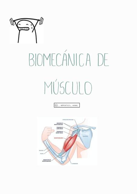 Biomecánica de Músculo  