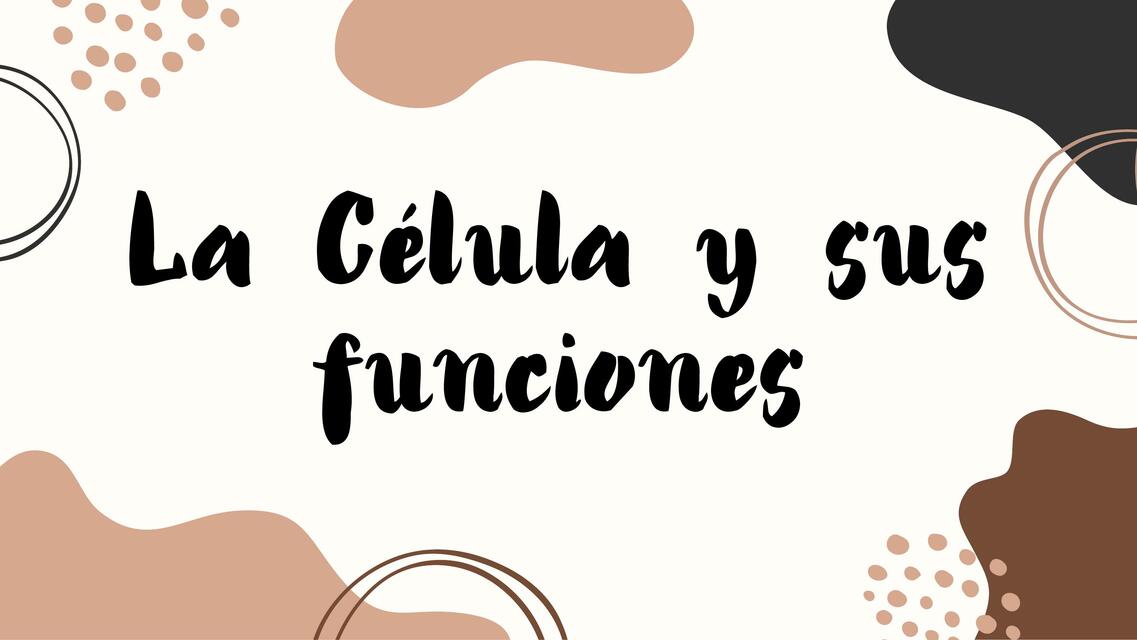 La Célula y sus Funciones