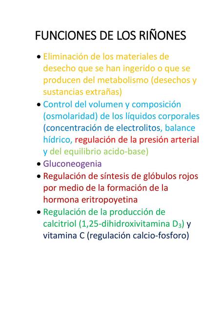 Funciones de los riñones