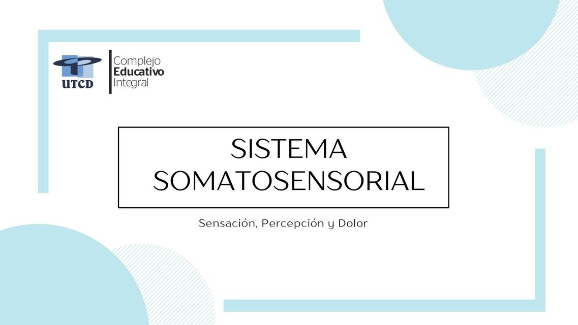 Sistema Somatosensorial 