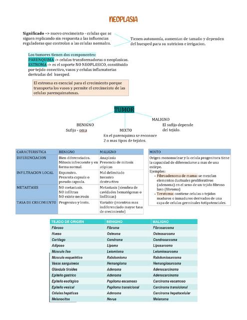 Neoplasia 