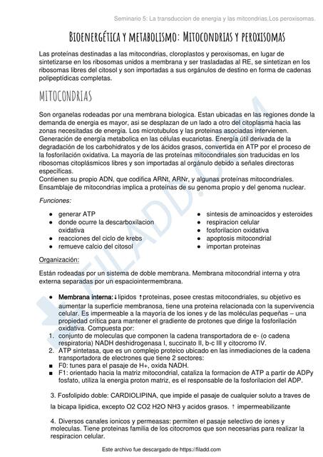 Bioenergía y metabolismo: Mitocondrias y peroxisomas 