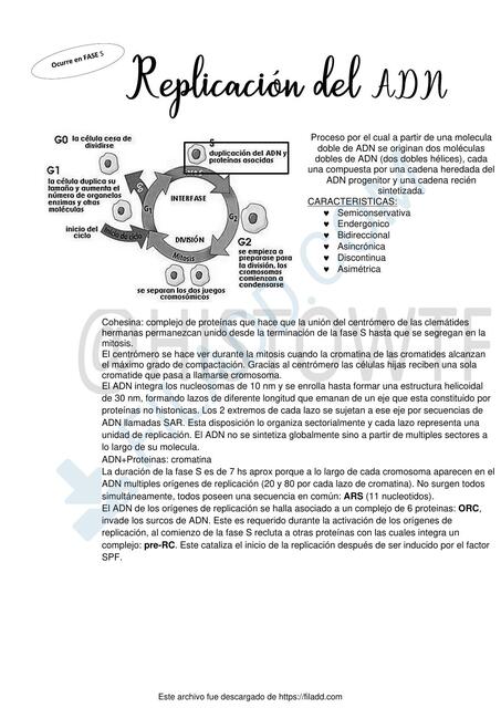 Replicación del ADN