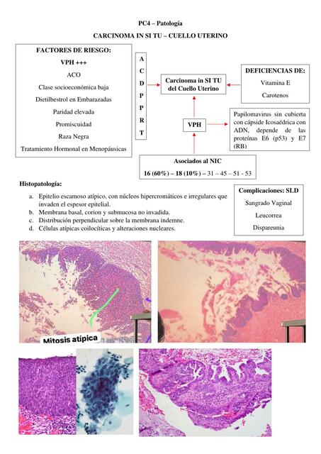 Carcinoma In Si Tu- Cuello Uterino 