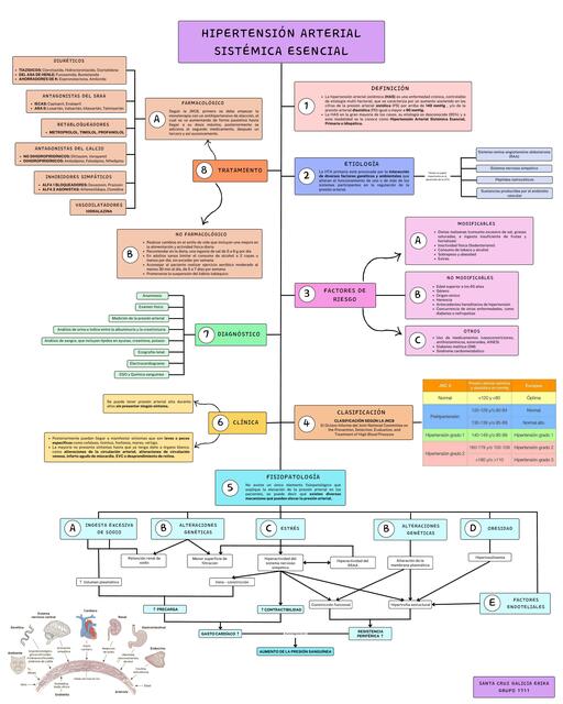 Hipertensión Arterial Sistémica Esencial 