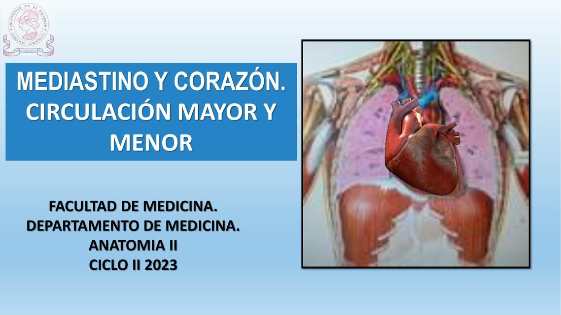 Mediastino y Corazón. Circulación Mayor y Menos 