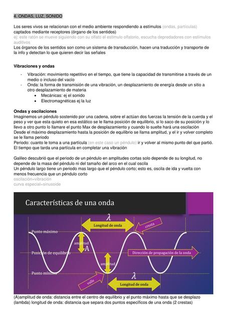 Ondas luz y sonido 