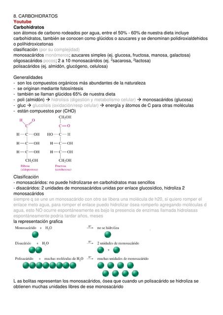 Carbohidratos 