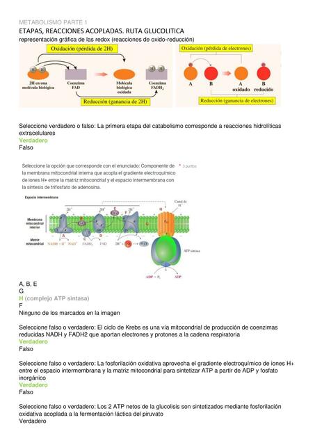 Metabolismo Parte I 