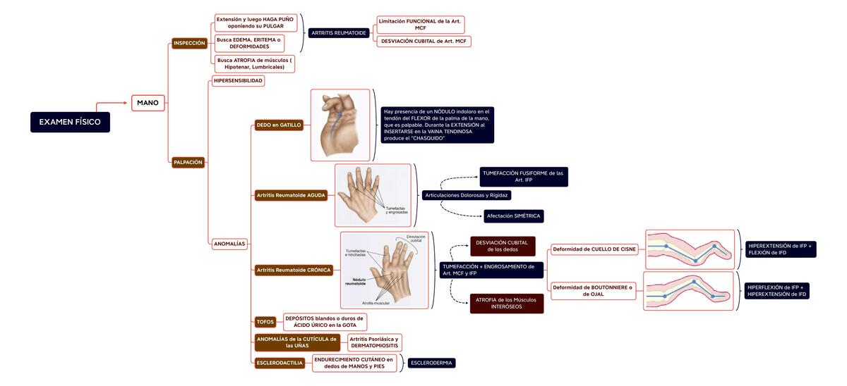 Examen Físico Mano - Reumatología