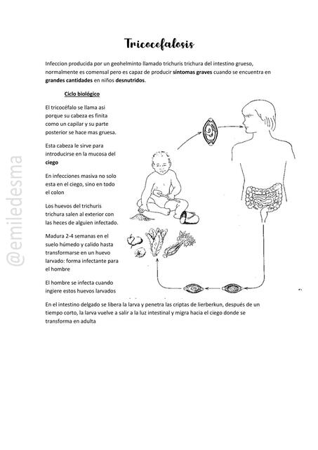 Tricocefalosis