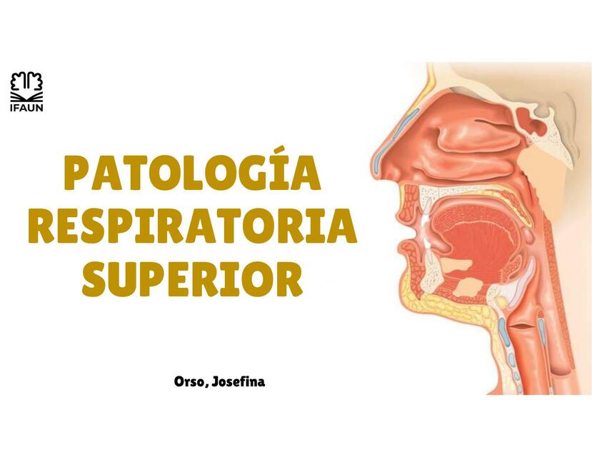 Patologías Respiratoria Superior 