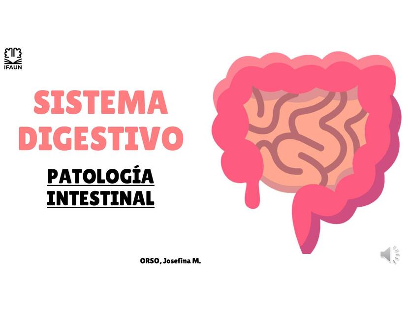 Sistema Digestivo- Patología Intestinal 