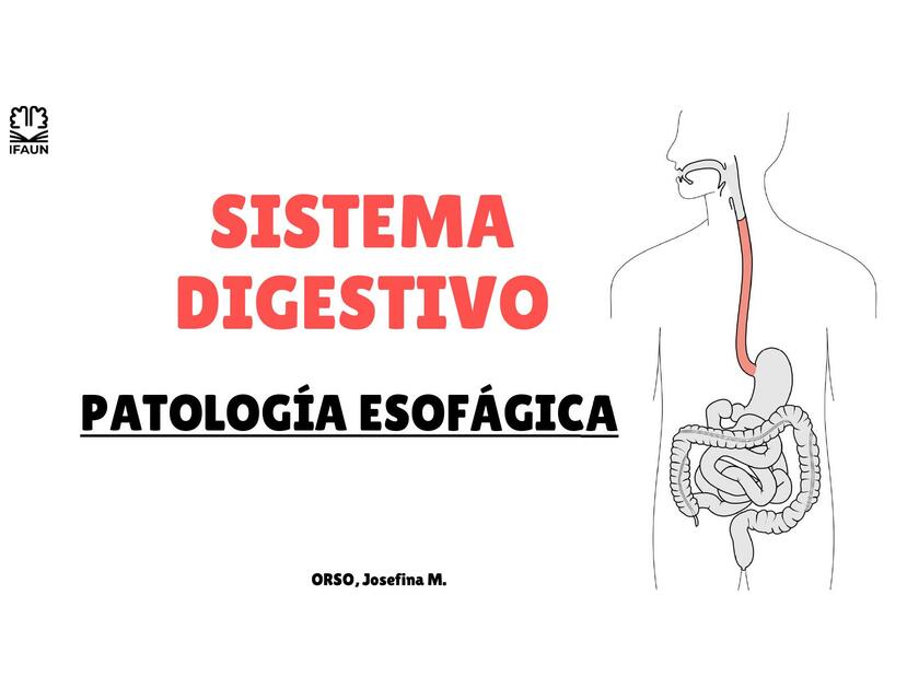 Sistema Digestivo- Patología Esofágica 