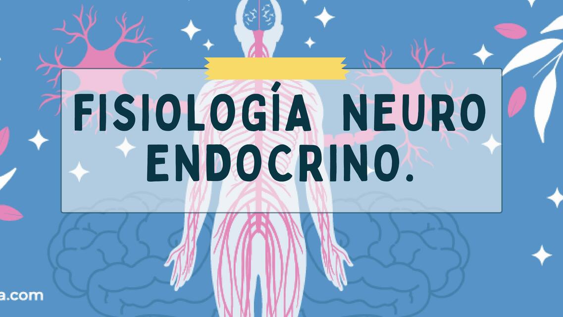 Fisiología Neuro Endocrino 