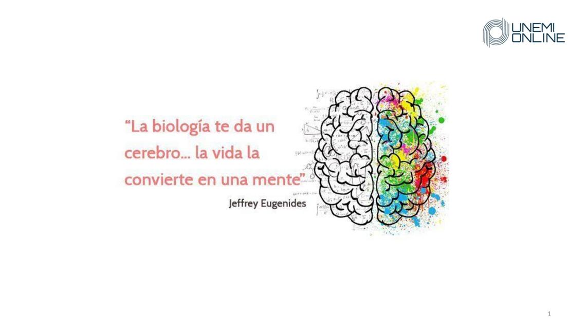 Neuropsicología   