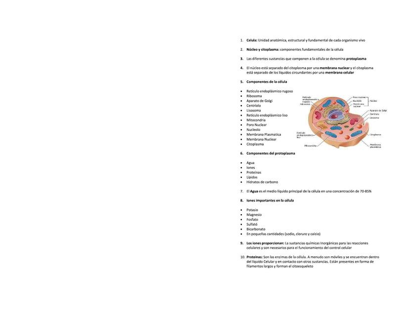 Conceptos de Biología 