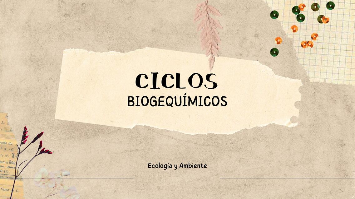 Ciclos Biogeoquímicos