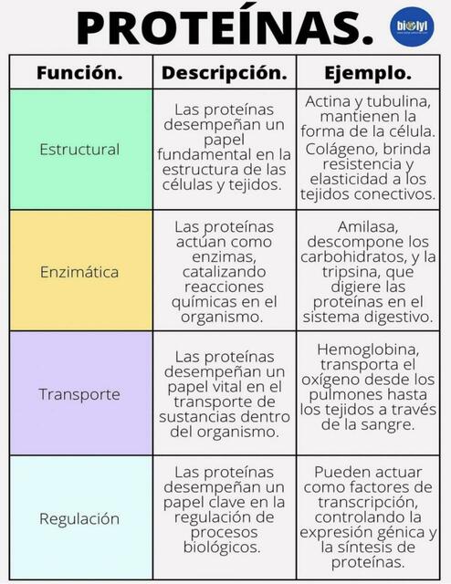 Proteínas