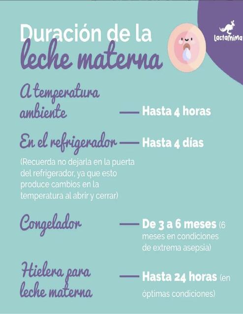 Leche materna