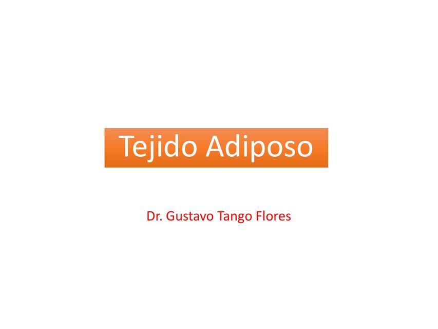  Tejido adiposo 