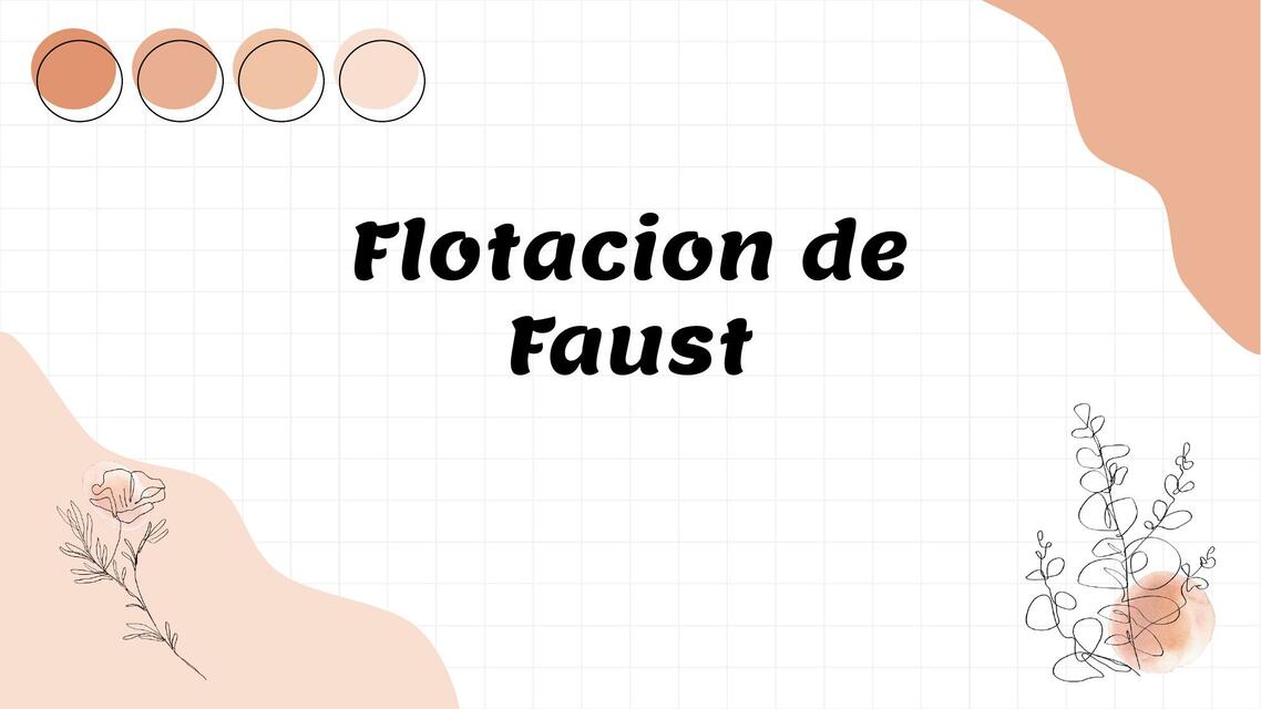 Flotación de Faust 