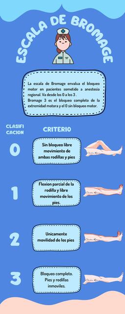 Escala de bromage | luis Steveen | uDocz