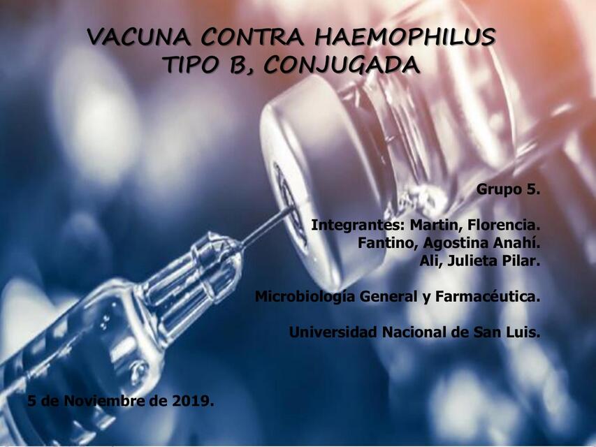 Vacuna Haemophilus B, conjugada 