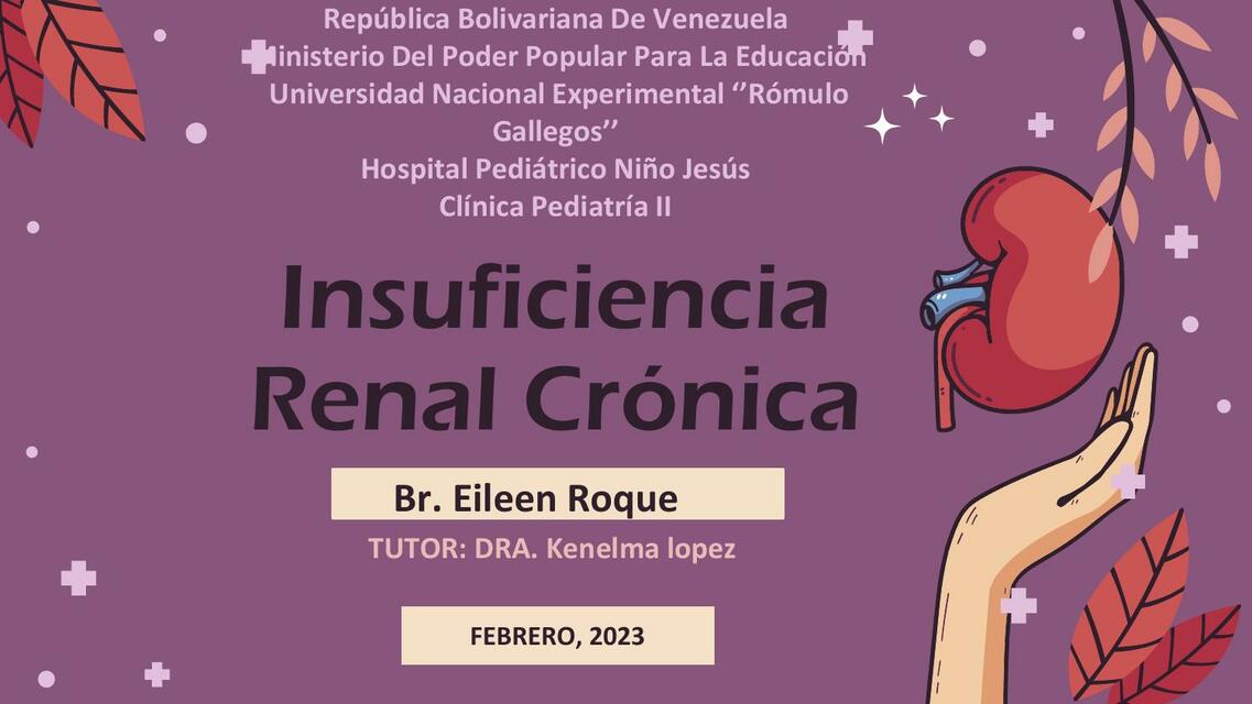 Insuficiencia Renal Crónica 