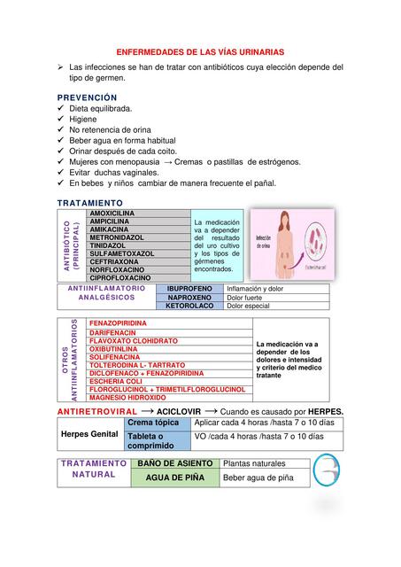 Enfermedades de las Vías Urinarias 