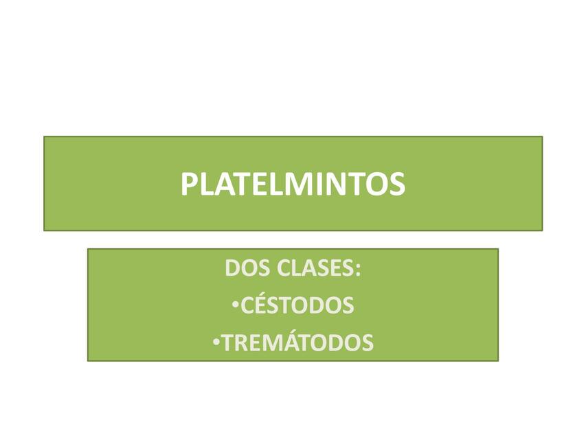 Platelmintos 