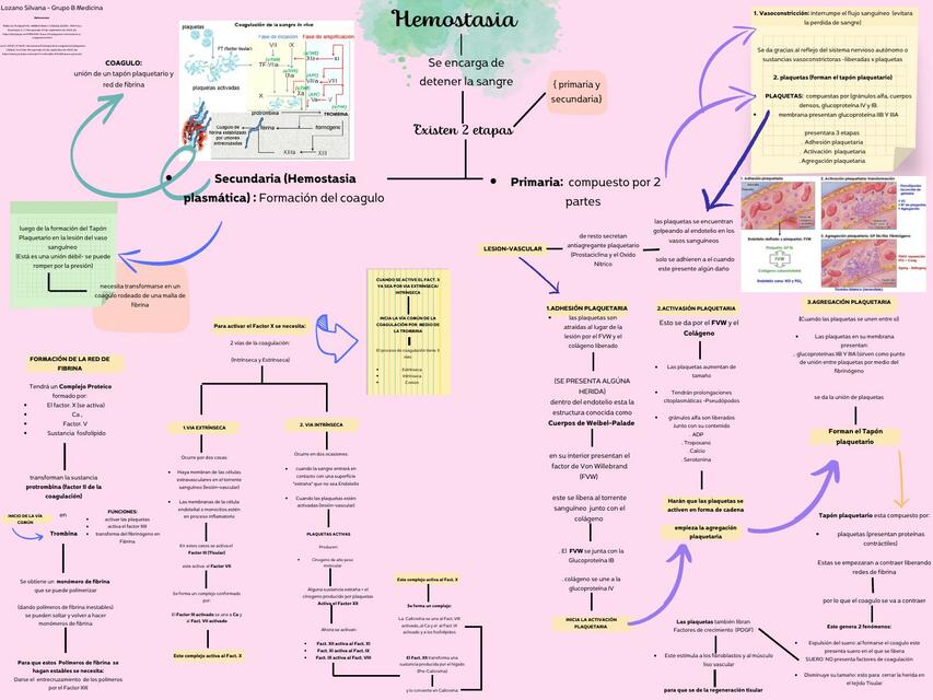 Hemostasia 