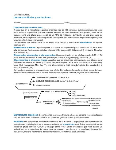 Las Macromoléculas y sus Funciones 