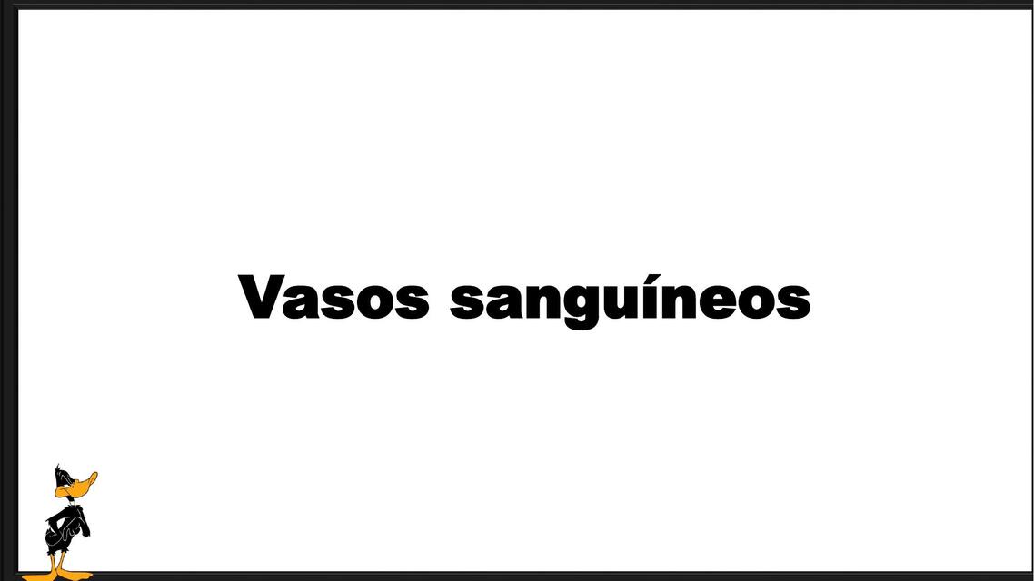 Vasos sanguíneos