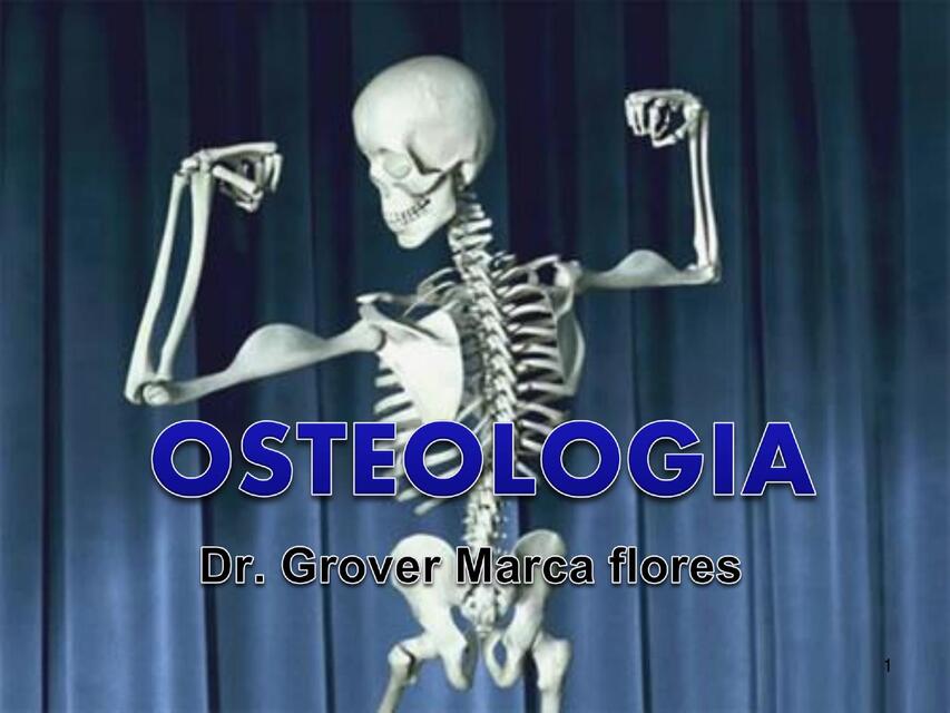 Osteologia