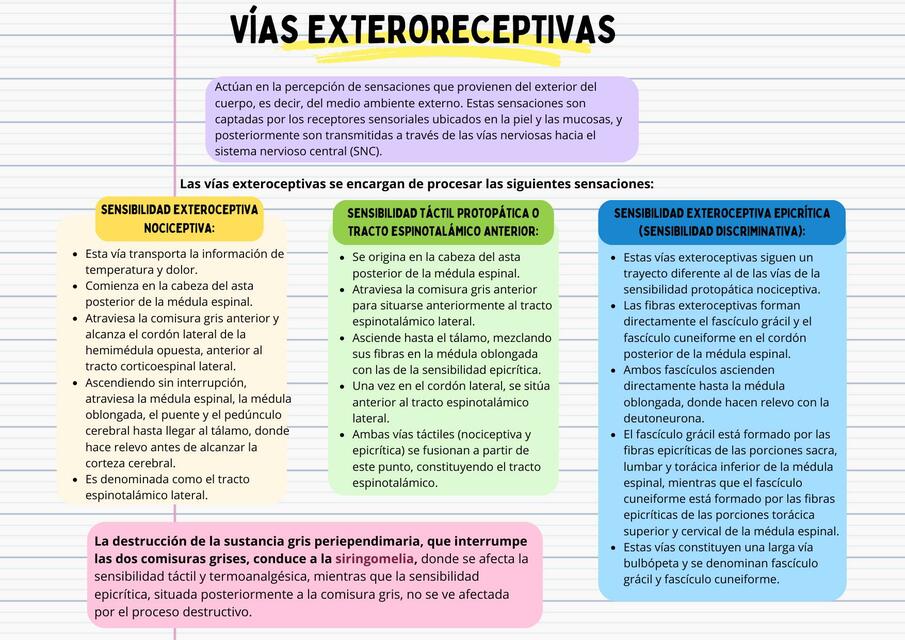 Vías exteroceptivas