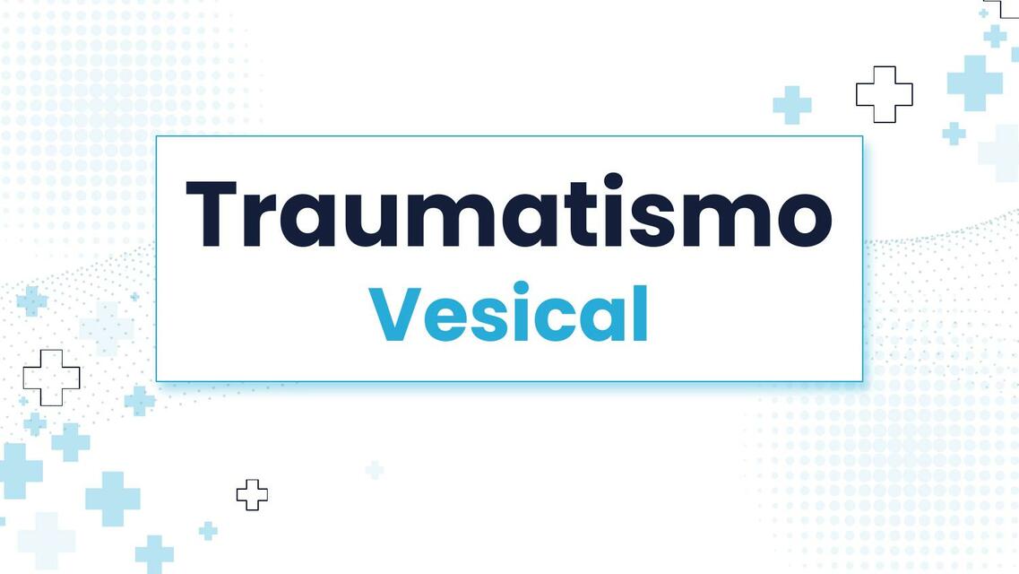 Resúmenes de traumatismo de vejiga Descarga apuntes de traumatismo de