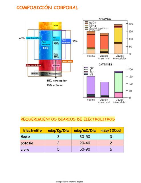 Composición Corporal
